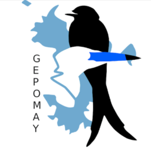 logo-GEPOMAY-2