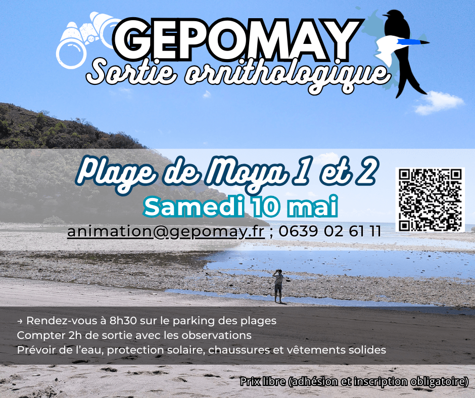 Sortie à la plage de Moya
