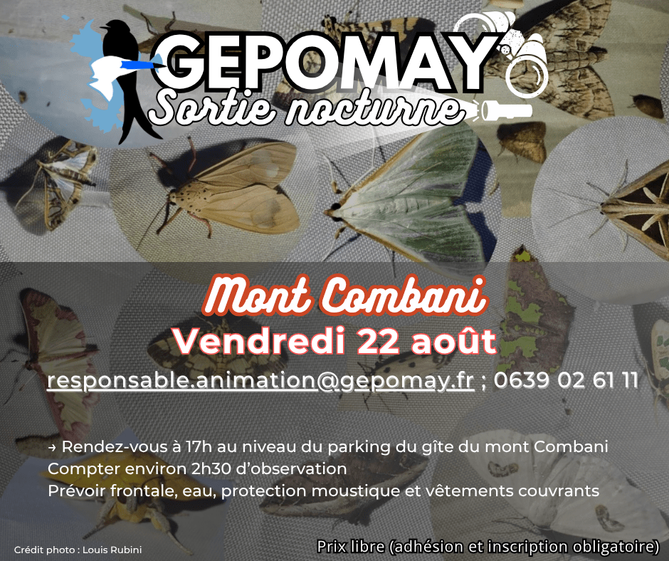 Affiche Sortie nocturne Mont Combani