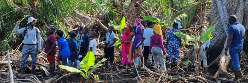 ATE de Malamani, inventaire naturaliste au sein de l’arrière-mangrove de la baie de Bouéni – ©GEPOMAY