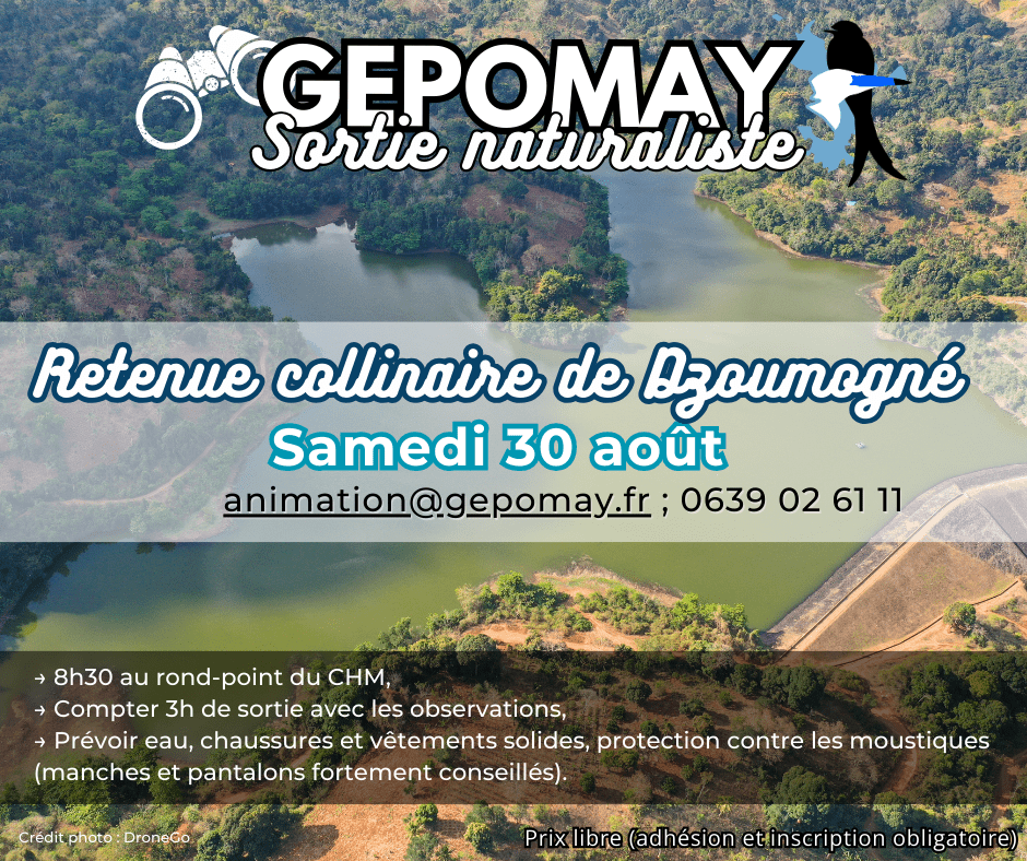 Retenue collinaire de Dzoumogné