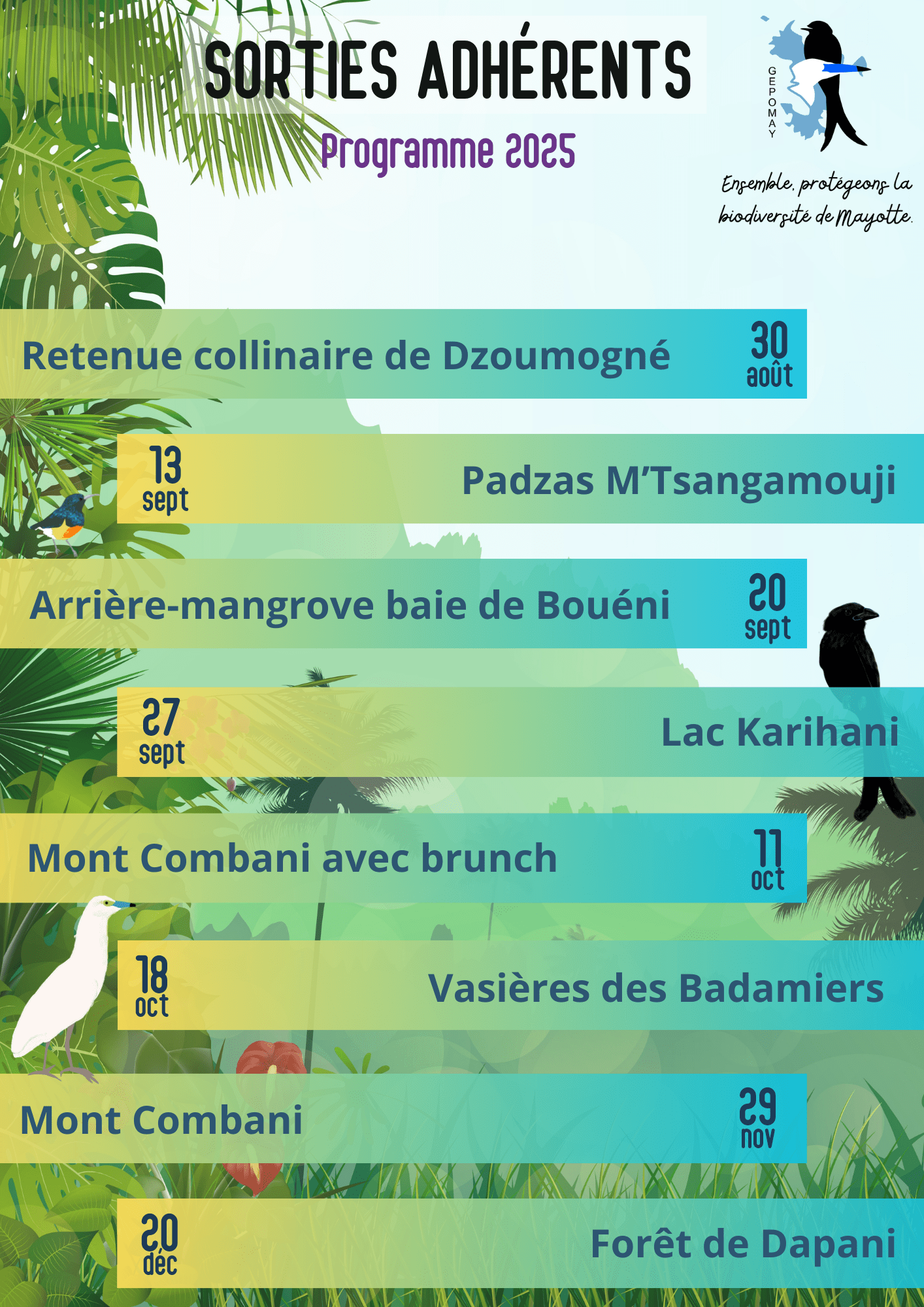 Programme des sorties GEPOMAY 2025